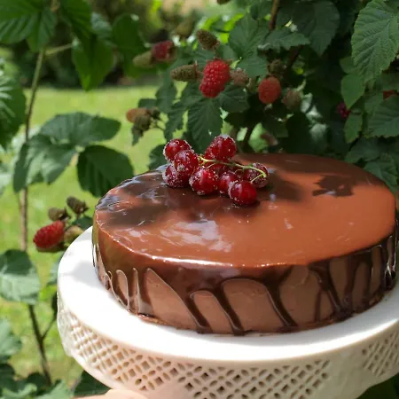 Oda ve Kahvaltı Mala Kmetija Slovenske Konjice