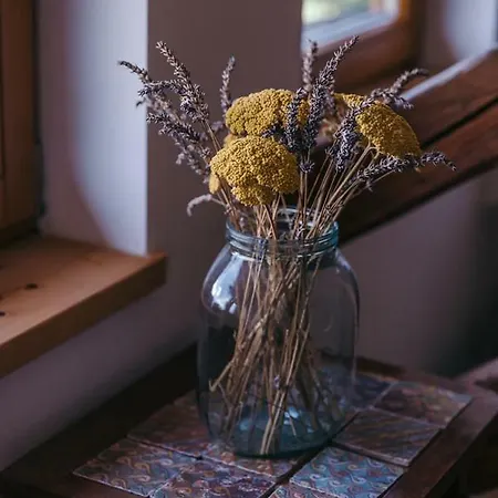 Mala Kmetija Alojamento de Acomodação e Pequeno-almoço