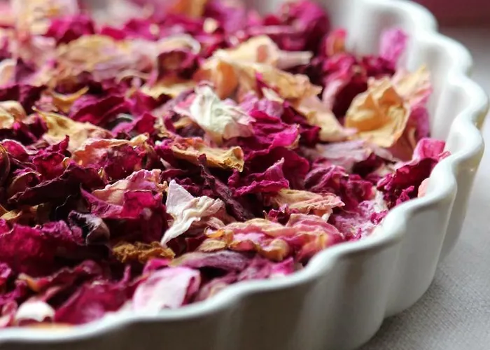 Mala Kmetija Slovenske Konjice