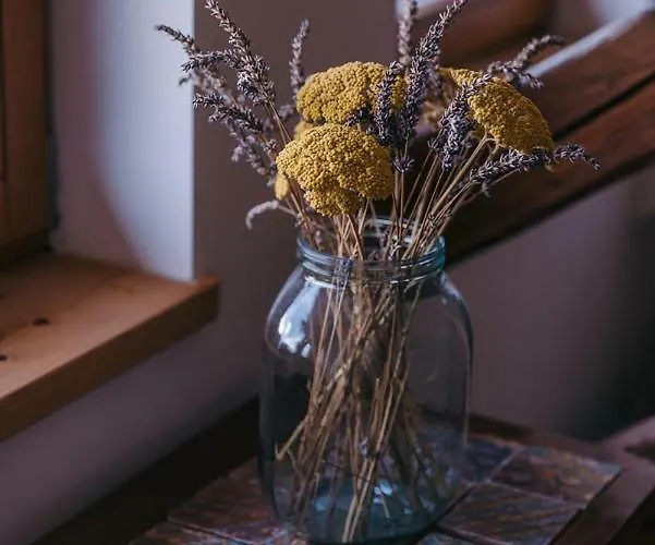 Mala Kmetija Bed & Breakfast